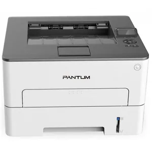 Замена прокладки на принтере Pantum P3300DN в Екатеринбурге